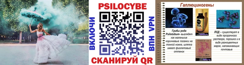 Псилоцибиновые грибы Psilocybine cubensis  Изобильный 